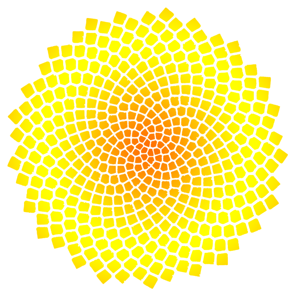 tournesol-Patricia-Dehu